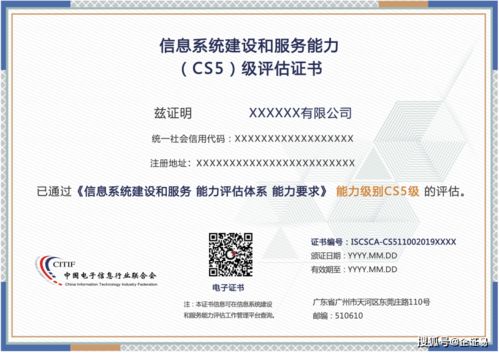 信息系統服務交付能力等級（CCID）解析